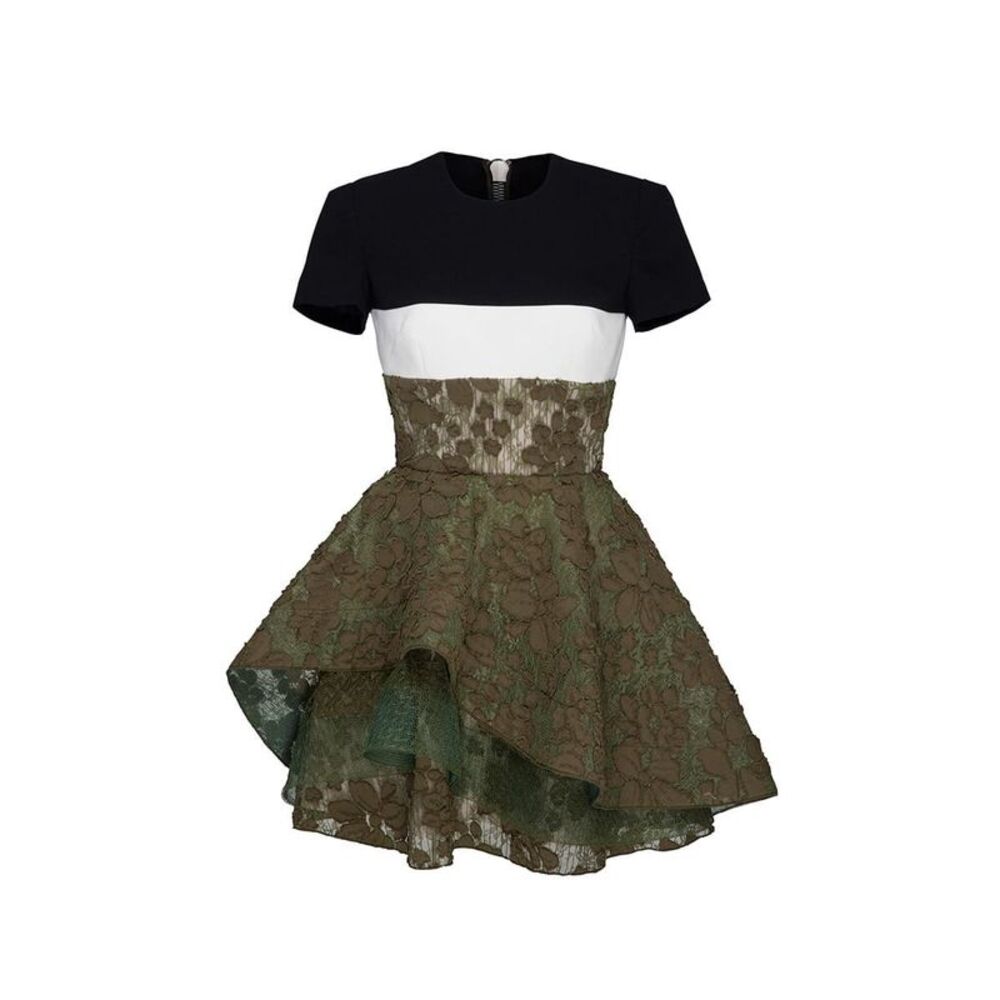 Alex Perry Delphine satin floral lace mini dress.